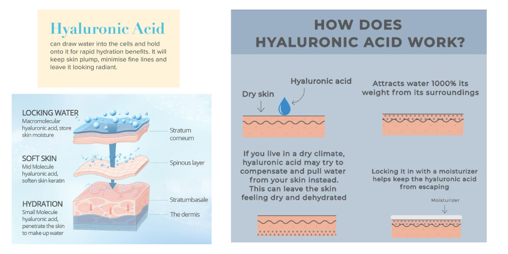 PWP Hylu Collagen Vitamin Serum 10ml