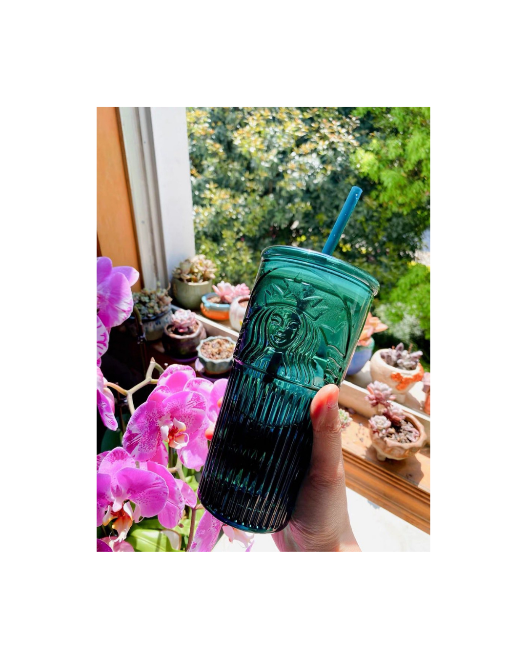 CHNB SB Glass Tumbler with Straw - Green 550ml