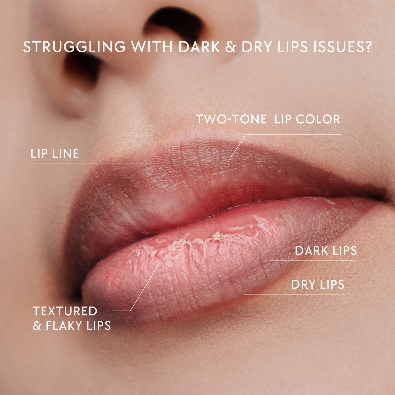 Skintific Peptide Brightening Lip Serum 6.5ml - Clear