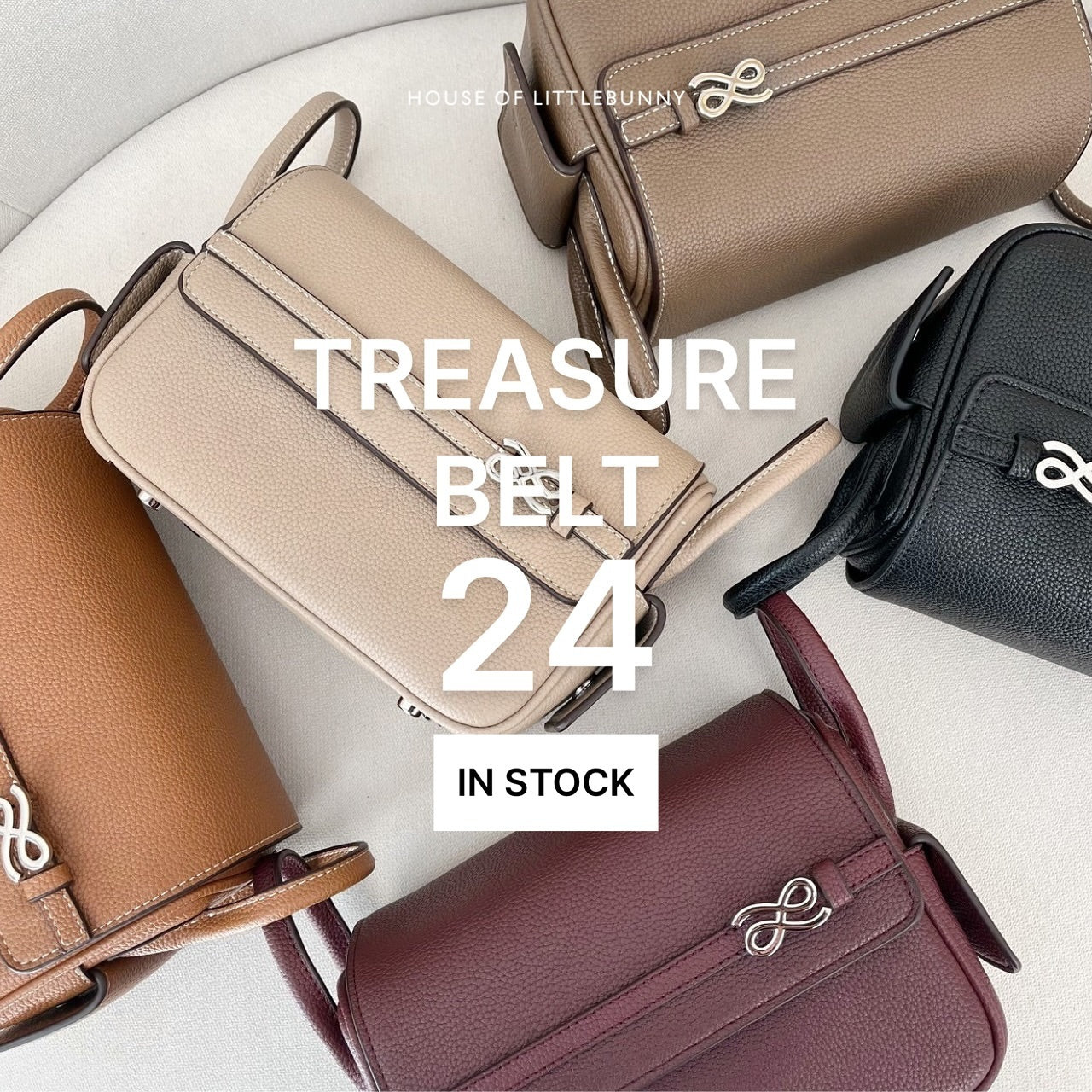 Treasure Belt